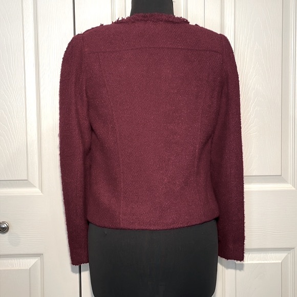 CAbi Mulberry Boiled Wool Jacket - Picture 5 of 8